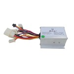 Alter 24v 250w PMDC Motor Kit With Lithium Ion Battery And Charger